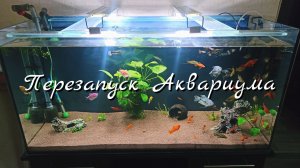 ПЕРЕЗАПУСК АКВАРИУМА 🐟 НОВЫЙ ГРУНТ 🐟 АКВАРИУМ НА 200 ЛИТРОВ