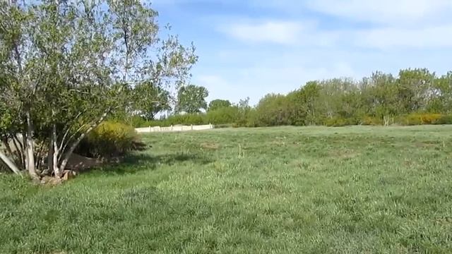 Продаю шикарную заимку-дом в селе Золотуха, Локтевский район, Алтайский край