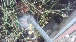 Полив саженцев в марте 2026