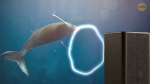 Эксперты обнаружили нечто тревожное под Антарктидой