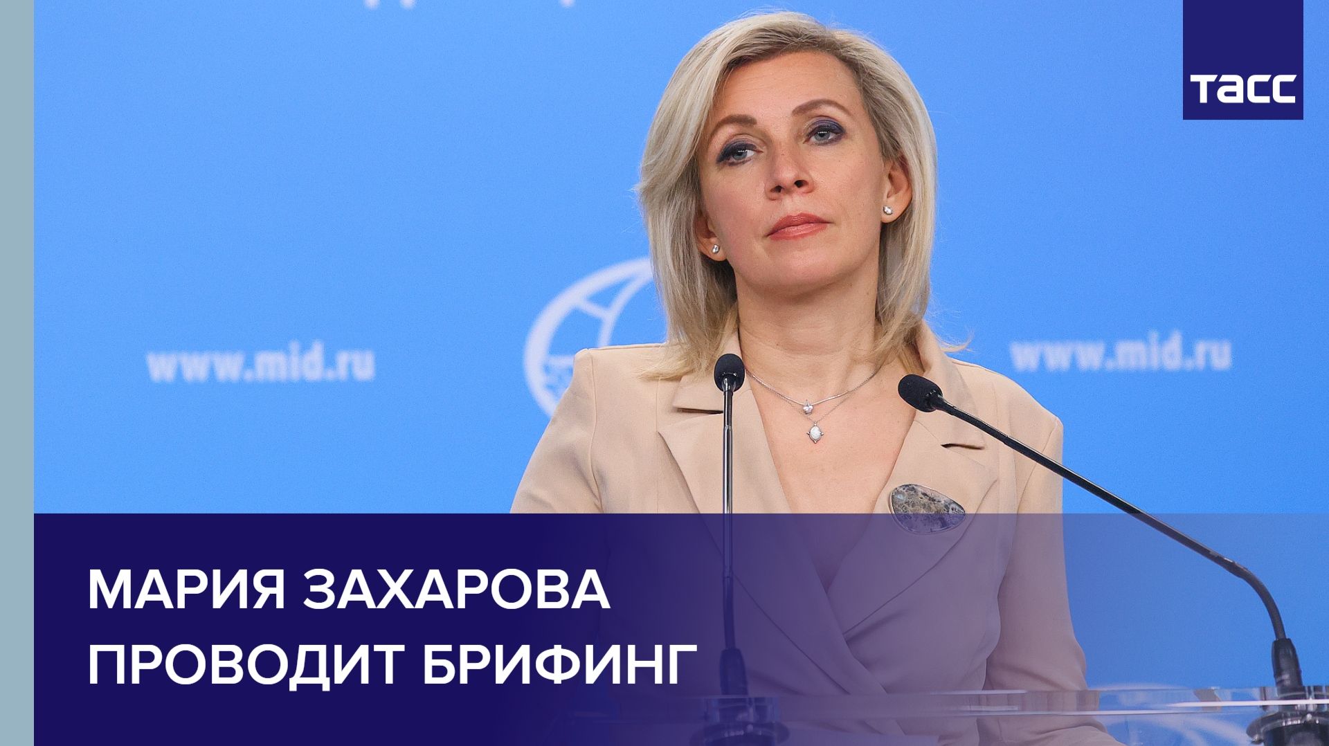 Мария Захарова проводит брифинг