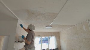 Продолжаю ремонт - план дня выполнен. Первые всходы