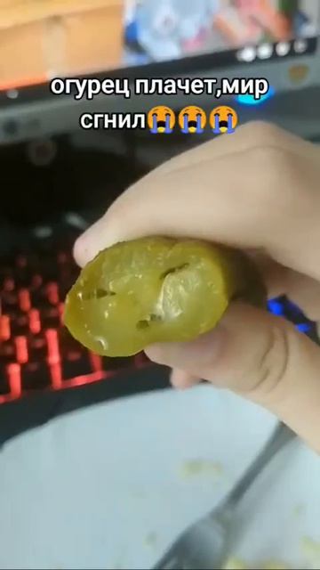 дикий огурец 🥒