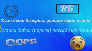 Началось ! в деревне лето . ( НАВЫЙ ПОСАДОЧНЫЙ МАТЕРИАЛ КЛУБНИКИ)