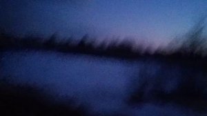 Выбираемся из глуши ночью. Я упала. Собака рядом, не страшно🐕