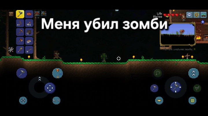 Меня убил зомби в Террарии | Суходрищик Terraria