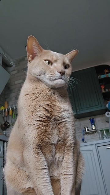 Я красивый 😎