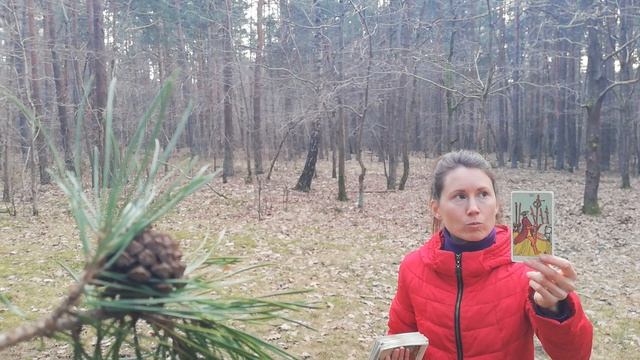 Расклад на тему дня