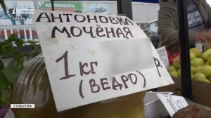 С 4 апреля в Брянской области заработают ярмарки выходного дня