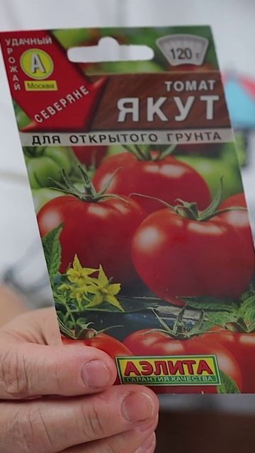Томаты из серии СЕВЕРЯНЕ, которые еще можно посеять сейчас! 🍅🌱