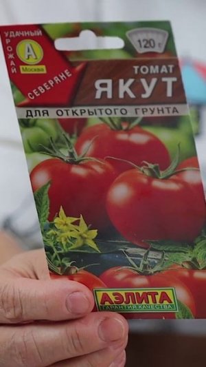 Томаты из серии СЕВЕРЯНЕ, которые еще можно посеять сейчас! 🍅🌱