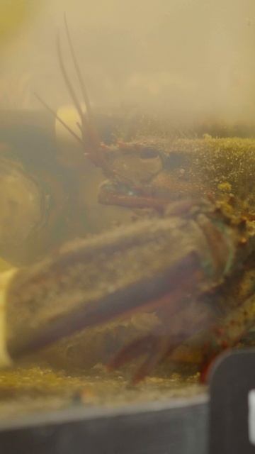 Контроль температуры - залог идеального вкуса