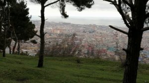 Сосновый бор в Дербенте, прогулка по парку сосновый бор