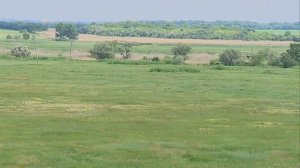 На Ставрополье кадастровый инженер присвоил чужую землю на сумму более 13 млн рублей