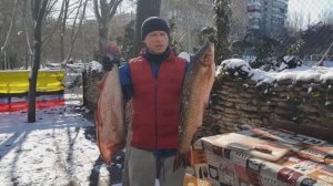 (-6 ЛЕТ!) КАК приготовить УХУ в КАЗАНЕ УХА Классическая. Рецепт УХИ на Дровах от ОДЕССКОГО ЛИПОВАНА