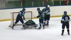 "МИМОХОДОМ", 25 марта 2013 год. Автор проекта О. Дзиов