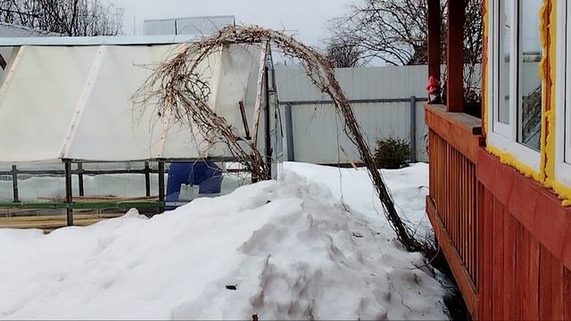 Вести с дачи. Последствия снежной зимы.