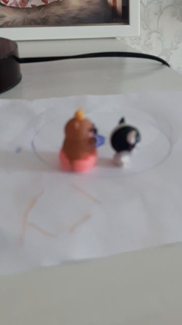 Капибара упала в яму🕳🦔🐾🐶