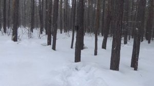 Переезд. Начало рыбалки. Хоз. работы. Якутия.