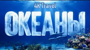 ОКЕАНЫ 4K | Кто живет в океане? От дельфинов до монстров глубины | Документальный фильм