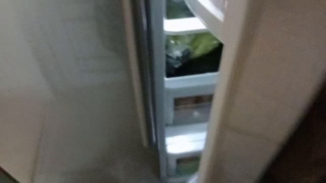 вечерниц мини влог с реборном Евой