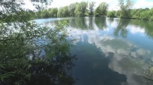 ЛЕТНЯЯ ЛОВЛЯ КАРПА