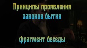 Некоторые принципы проявления законов бытия