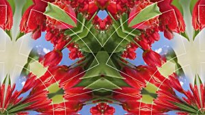 С Днём Рождения!!! Весенний сон 2!!! Музыкальная открытка от Киностудии Мудрого Кота Тимофея!