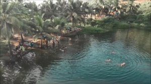 Сеанс исцеления для вас от Арчены из Индии  Выпуск №4