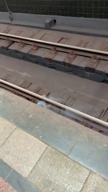 Тушение рельсов на станции метро Алексеевская