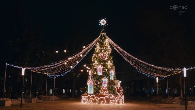 Новогодняя ёлка в Детском парке, г. Псков