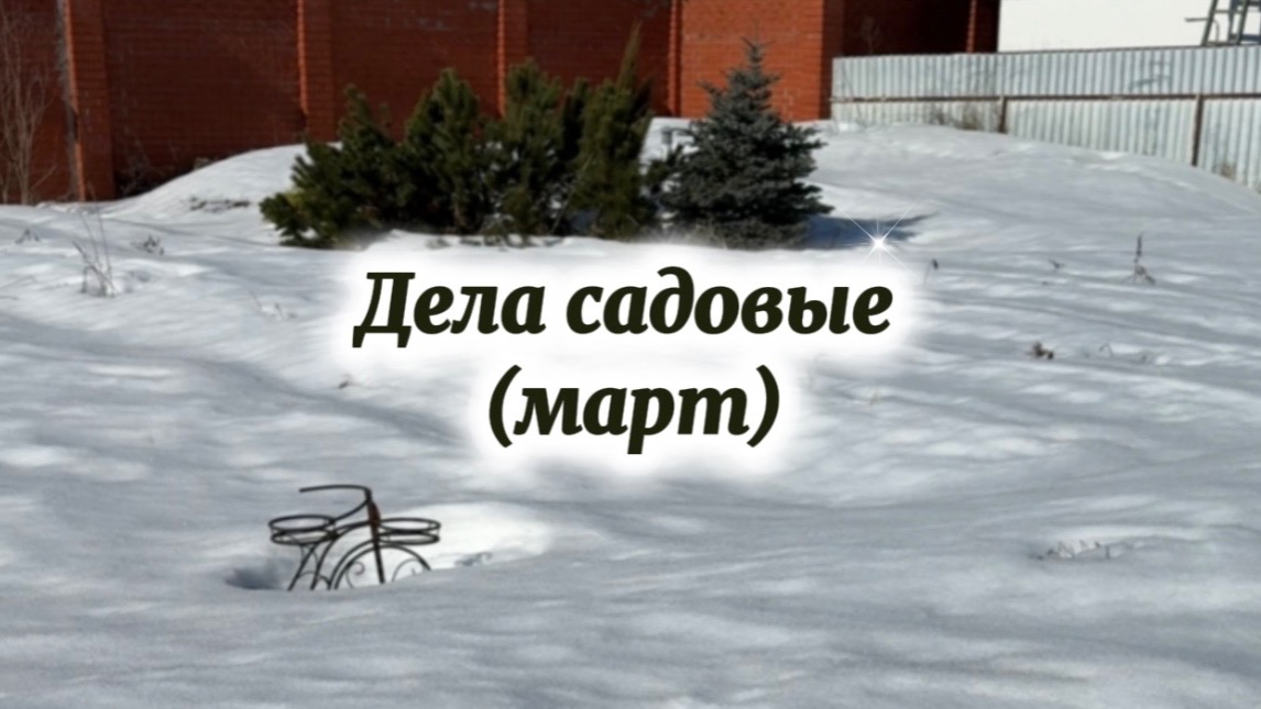 Первый весенний набег в сад