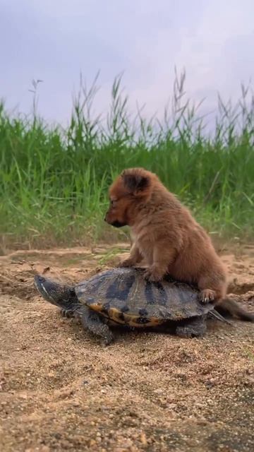 Промышленный пейзаж: завод и его мощи #промышленность #завод #энергетика