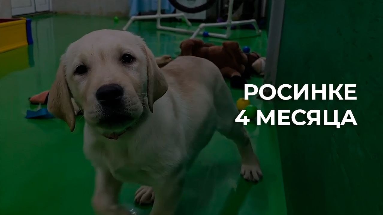 Росинке 4 месяца