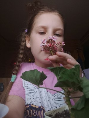 расказики и асмр