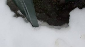 Неделя на даче в Орле// Обзор участков// Пошел дождь