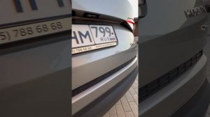 Кодиак  2019 / 1.4 / 4х4 /