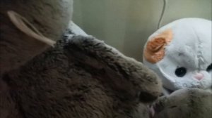 Басики попали в 99 ночей в лесу в реальной жизни