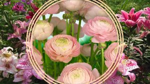 Луковичные и клубневые растения весенней посадки.