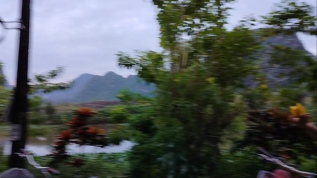 Серёжка полез за карамболой!