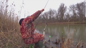 РЫБЫ ТОННА, АЖ ХАПАЕТ ВСЕ КРЮЧКИ. ТУТ ВОДЫ ПО КОЛЕНо НА ПОПЛАВОК.