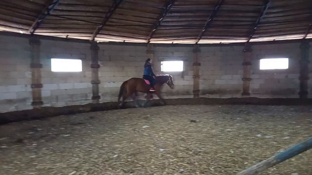 #жизнь_Аликорна 24.03.26