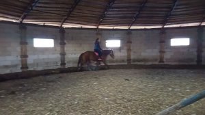 #жизнь_Аликорна 24.03.26