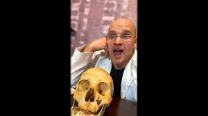 🔥😂 СМЕХ ДО СЛЁЗ — САМЫЕ ЛЮТЫЕ ПРИКОЛЫ 2026!! 🤣 СМЕШНЫЕ ВИДЕО, ЮМОР, СКЕТЧИ 🤯 НАТУРАЛ АЛЬБЕРТОВИЧ