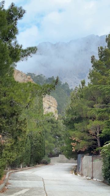 Крымчательные виды Южного берега Крыма,которые попадают в самое сердце! #крым #крым2026 #крымсегодня