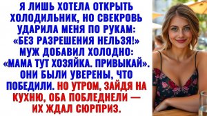 Я потянулась к своему холодильнику — свекровь ударила по рукам: «Куда без спроса?!» Аудиорассказ