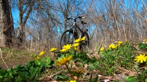 Мой позывной Весна _ Суходольск ЛНР - 2026