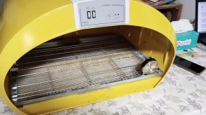 Инкубатор Fiem Cosmo , обзор и модернизация.