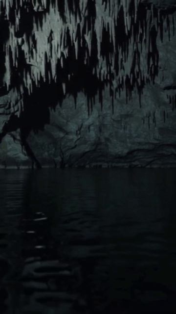 #digital #2026 #trends #viralreels