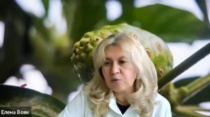 Новая волна спокойствия: как питание восстанавливает психику